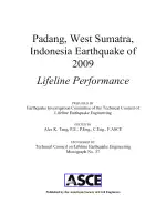 Padang, West Sumatra, Indonesia, Earthquake of 2009: Lifeline Performance