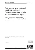 BS EN ISO 10426-4:2004