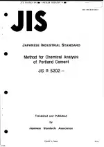 JIS R 5202:1989