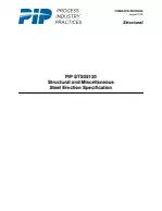 PIP STS05130:2018