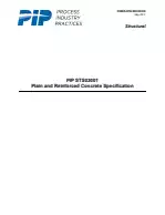 PIP STS03001:2017