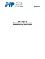 PIP STS05120:2018